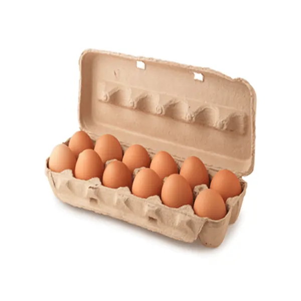 Brown Eggs (12 pack)